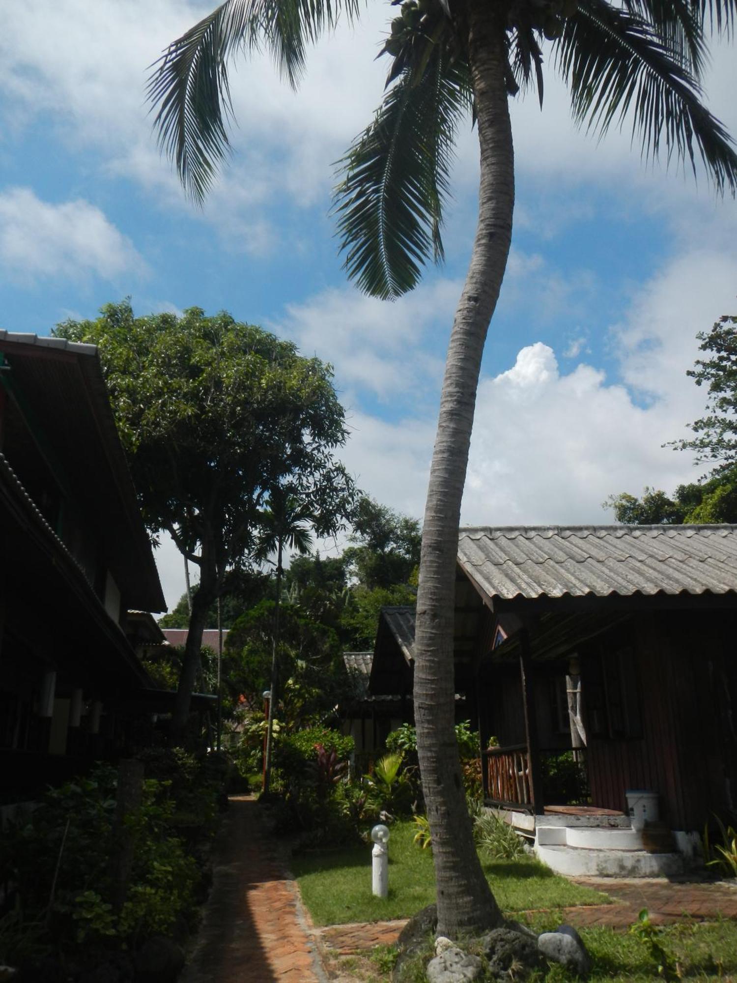 Sunrise Bungalow Lamai Beach  Eksteriør bilde
